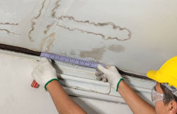 Reliable Sewage Cleanup contractor in Newtown, CT by Water Damage Irwin